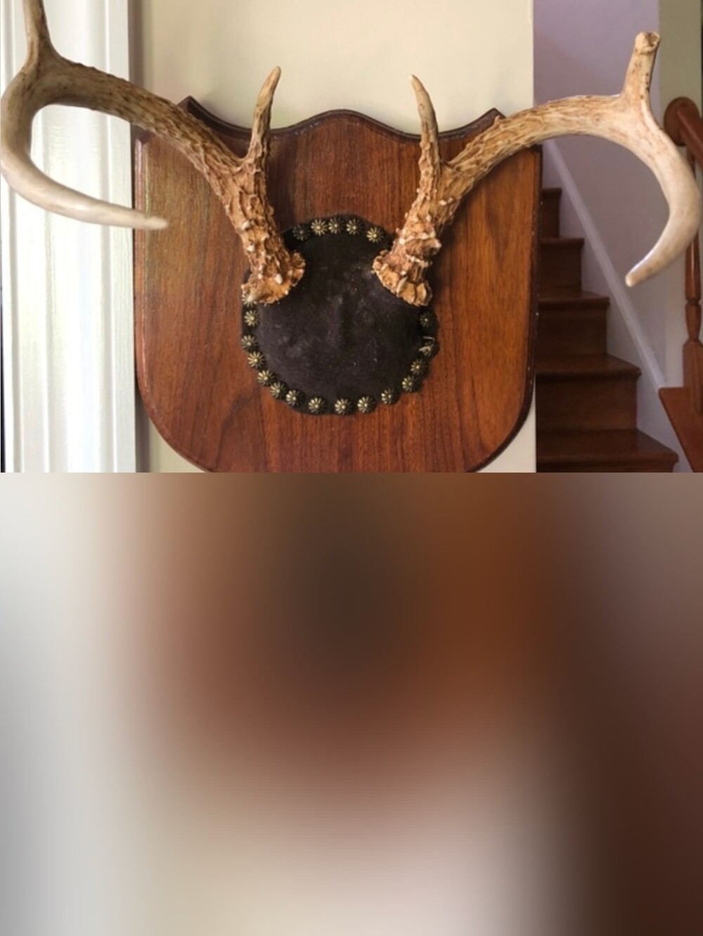 Vintage Antler Wall Mount